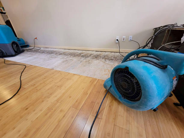 Reliable Basement Flood Cleanup contractor in Breckenridge, TX by Hirex Water Damage