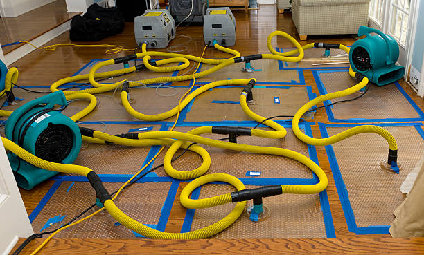 Professional Basement Flood Cleanup technician working in Breckenridge, TX